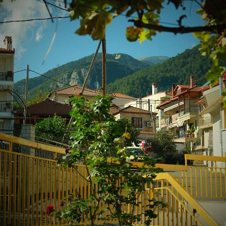 Villa Philia - Olympus Litóchoron Dış mekan fotoğraf